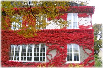 Kaasgrabengasse 36
