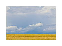 Landschaft