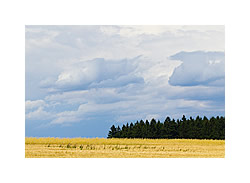 Landschaft