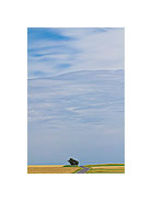 Landschaft
